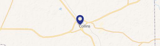 Collins, MS 39428