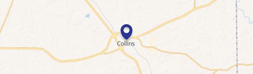 Collins, MS 39428