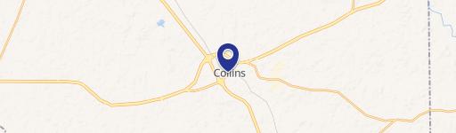 Collins, MS 39428