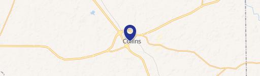 Collins, MS 39428