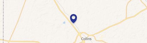Collins, MS 39428