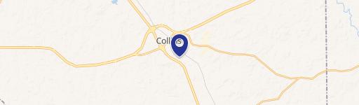 Collins, MS 39428