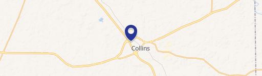 Collins, MS 39428