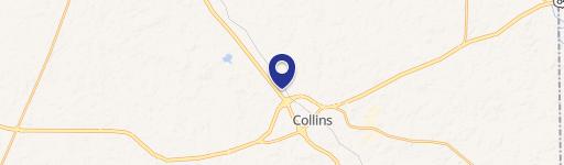 Collins, MS 39428