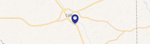 Collins, MS 39428