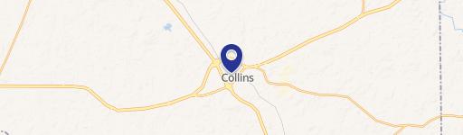 Collins, MS 39428