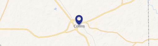 Collins, MS 39428