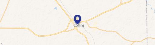 Collins, MS 39428