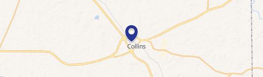 Collins, MS 39428