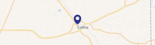 Collins, MS 39428