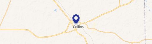 Collins, MS 39428