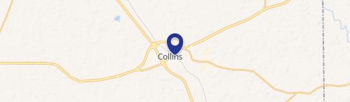 Collins, MS 39428