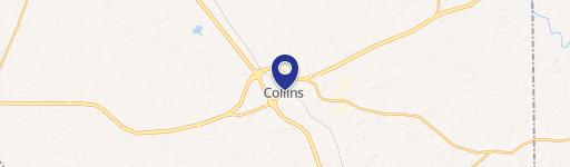 Collins, MS 39428