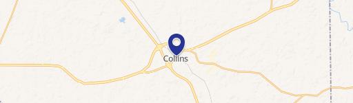 Collins, MS 39428
