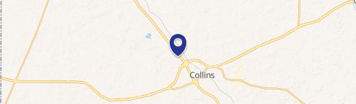 Collins, MS 39428