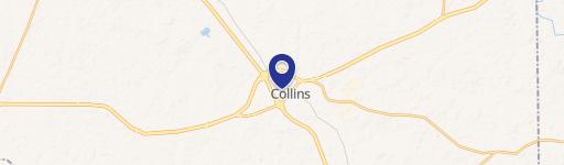 Collins, MS 39428
