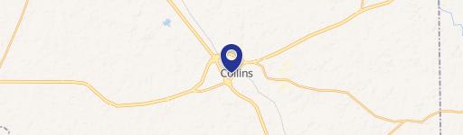 Collins, MS 39428