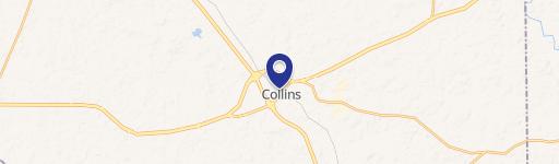 Collins, MS 39428
