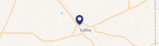 Collins, MS 39428