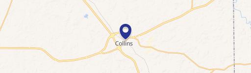Collins, MS 39428