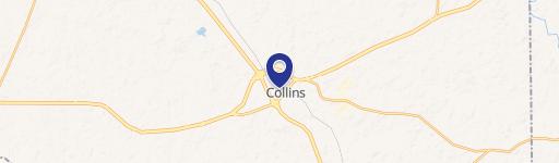 Collins, MS 39428