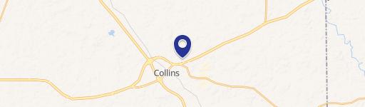 Collins, MS 39428