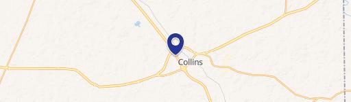 Collins, MS 39428