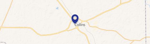 Collins, MS 39428