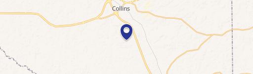 Collins, MS 39428