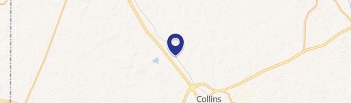Collins, MS 39428
