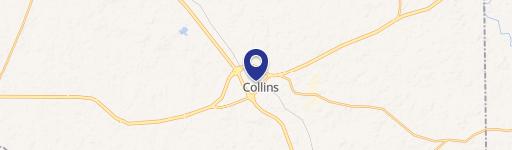 Collins, MS 39428
