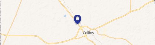 Collins, MS 39428