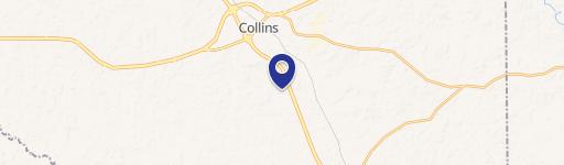 Collins, MS 39428