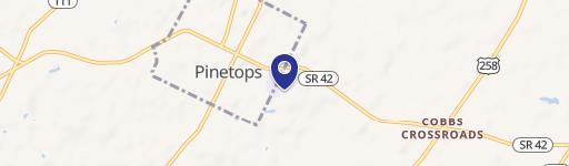 425 Sally Jenkins St