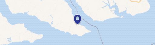 Cmn Area Buffer Sandpiper New Hop