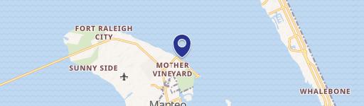 251 Mother Vineyard Rd