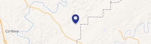 244 Phillips Chapel Rd