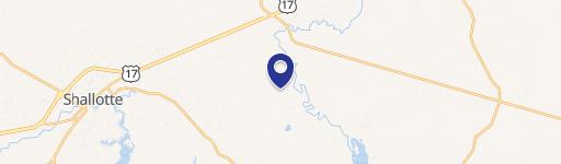 1323 Stone Chimney SW Rd