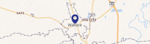 Wallace, NC 28466