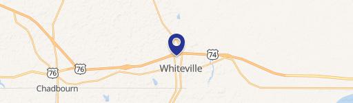 264 Flowers Pridgen Dr Near