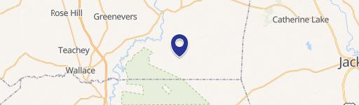 Chinquapin, NC 28521