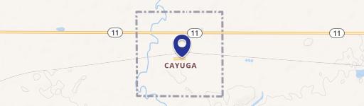 Cayuga, ND 58013