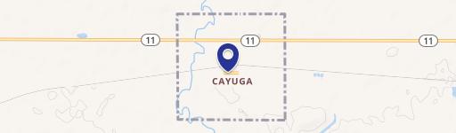 Cayuga, ND 58013