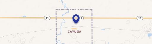 Cayuga, ND 58013