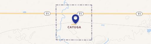 Cayuga, ND 58013