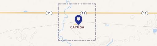 Cayuga, ND 58013