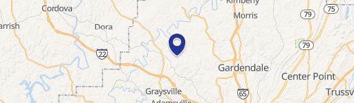 Graysville, AL 35073