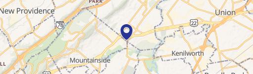 1008 Springfield Ave