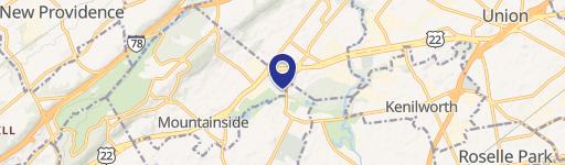 1140 Springfield Ave