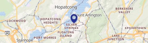 292 Mt Arlington Blvd